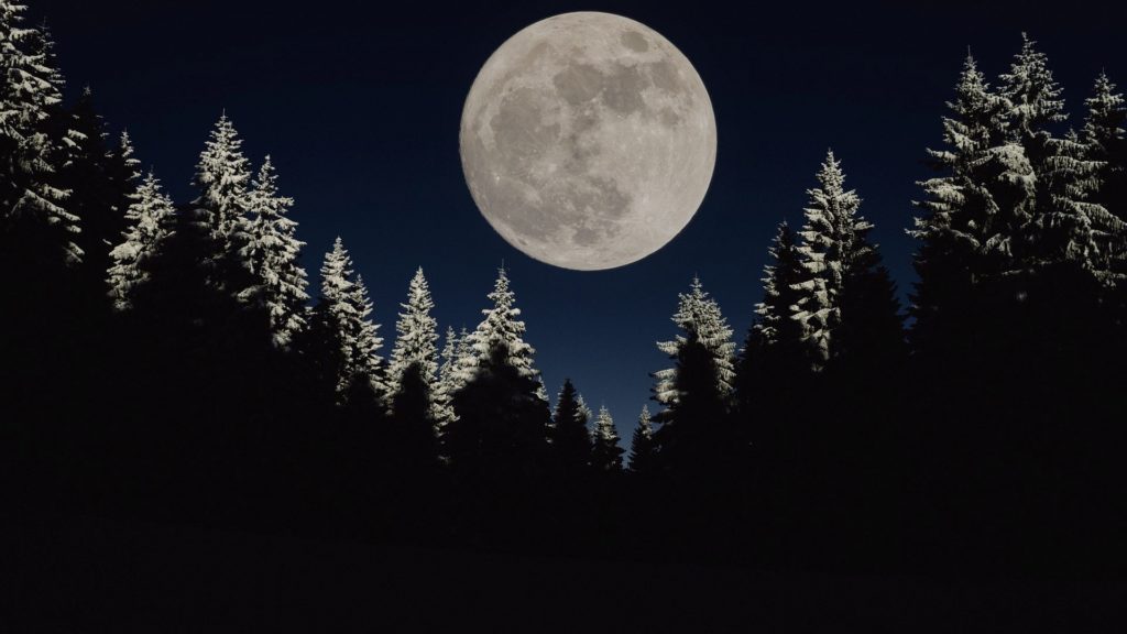Read more about the article Der Wolfsmond – Erster Vollmond des Jahres 2021